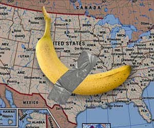 Banana